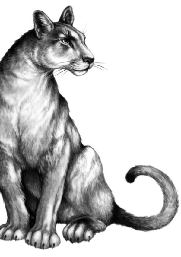 Иллюстрация к книге — Секрет сфинкса [i_016.jpg]