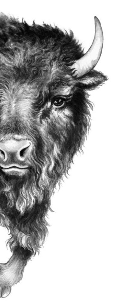 Иллюстрация к книге — Секрет сфинкса [i_021.jpg]