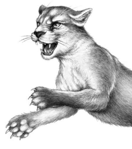 Иллюстрация к книге — Секрет сфинкса [i_022.jpg]