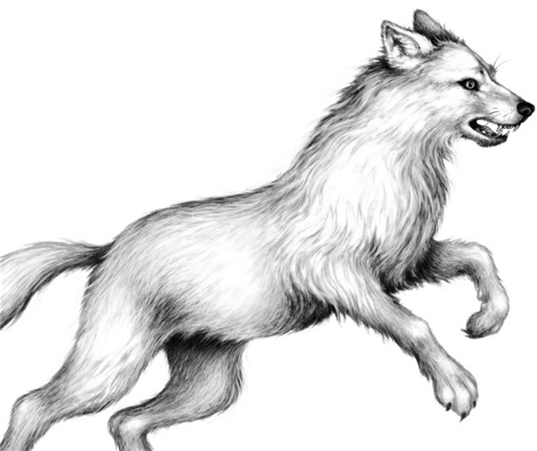 Иллюстрация к книге — Секрет сфинкса [i_026.jpg]