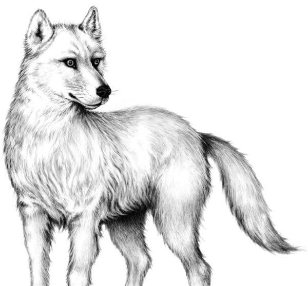 Иллюстрация к книге — Секрет сфинкса [i_030.jpg]