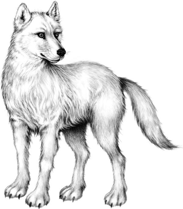 Иллюстрация к книге — Секрет сфинкса [i_033.jpg]