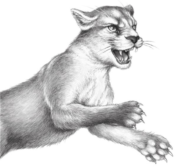 Иллюстрация к книге — Секрет сфинкса [i_034.jpg]