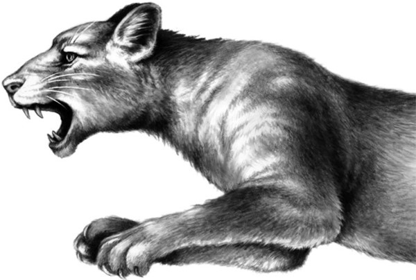 Иллюстрация к книге — Секрет сфинкса [i_035.jpg]