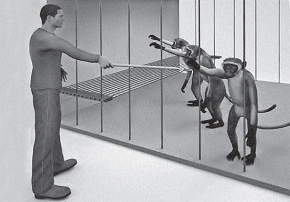 Иллюстрация к книге — Истории от разных полушарий мозга. Жизнь в нейронауке [i_003.jpg]