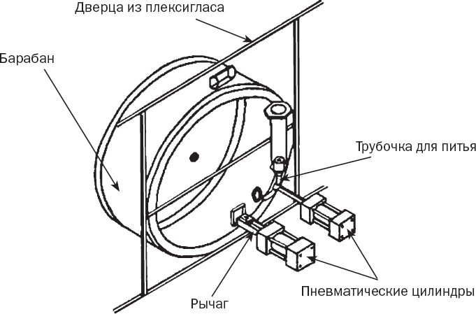 Иллюстрация к книге — Истории от разных полушарий мозга. Жизнь в нейронауке [i_004.jpg]