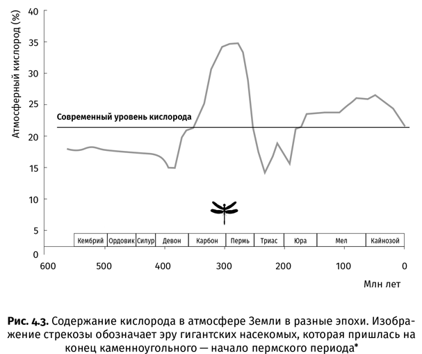 Иллюстрация к книге — Краткая история насекомых. Шестиногие хозяева планеты [i_021.jpg]