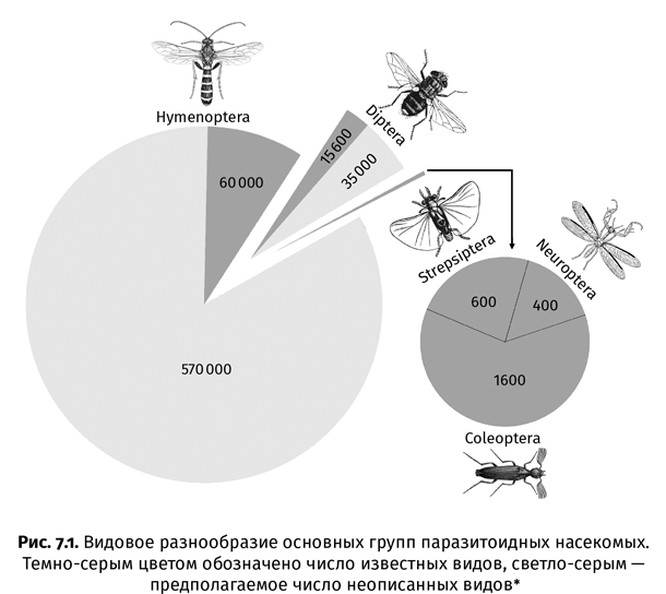 Иллюстрация к книге — Краткая история насекомых. Шестиногие хозяева планеты [i_040.jpg]