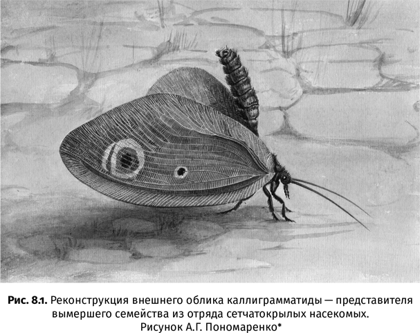 Иллюстрация к книге — Краткая история насекомых. Шестиногие хозяева планеты [i_048.jpg]