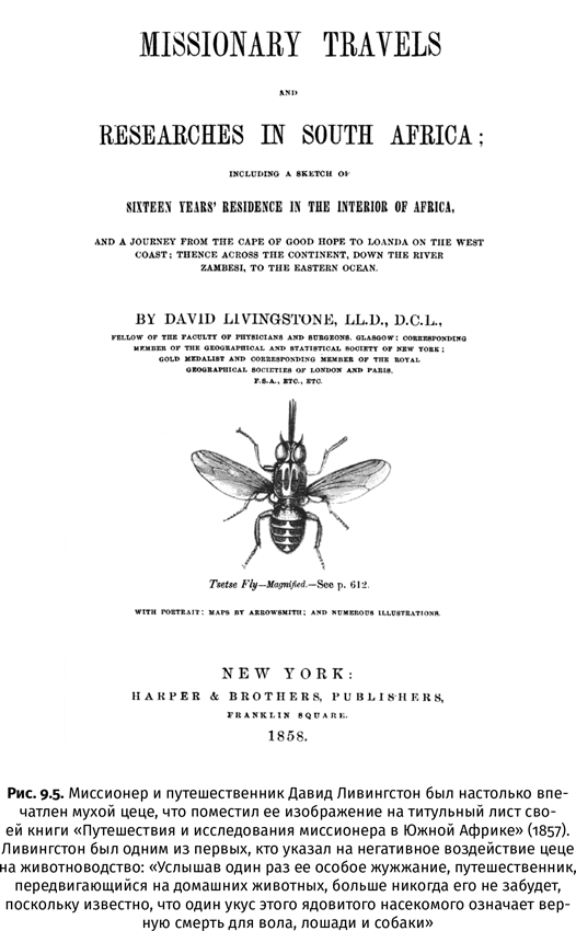 Иллюстрация к книге — Краткая история насекомых. Шестиногие хозяева планеты [i_060.jpg]