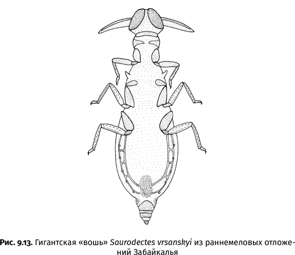 Иллюстрация к книге — Краткая история насекомых. Шестиногие хозяева планеты [i_068.jpg]