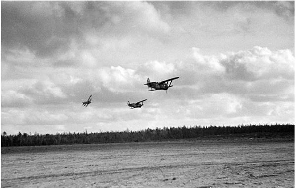 Иллюстрация к книге — Небо вторжения. Горячее лето 1941 года [i_017.jpg]