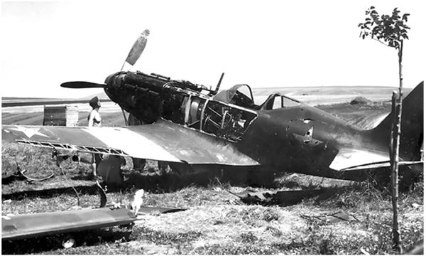 Иллюстрация к книге — Небо вторжения. Горячее лето 1941 года [i_044.jpg]