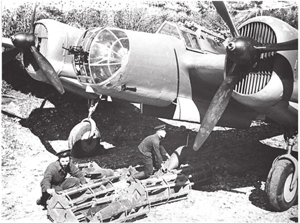 Иллюстрация к книге — Небо вторжения. Горячее лето 1941 года [i_073.jpg]