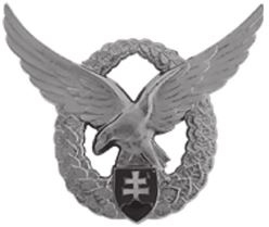 Иллюстрация к книге — Небо вторжения. Горячее лето 1941 года [i_092.jpg]