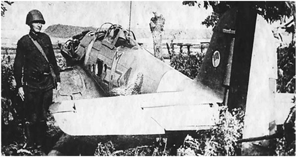 Иллюстрация к книге — Небо вторжения. Горячее лето 1941 года [i_096.jpg]