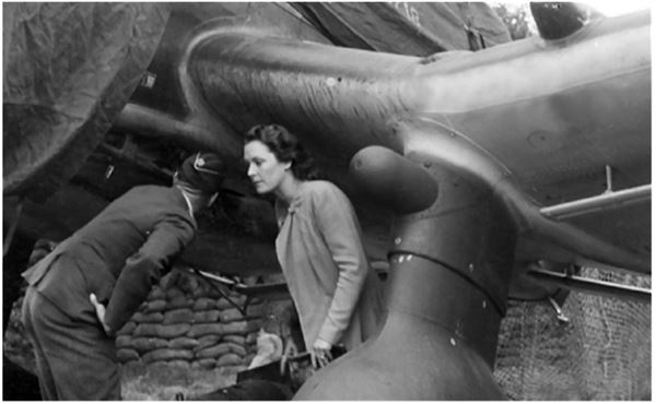 Иллюстрация к книге — Небо вторжения. Горячее лето 1941 года [i_150.jpg]