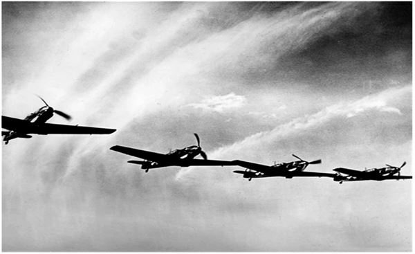 Иллюстрация к книге — Небо вторжения. Горячее лето 1941 года [i_162.jpg]