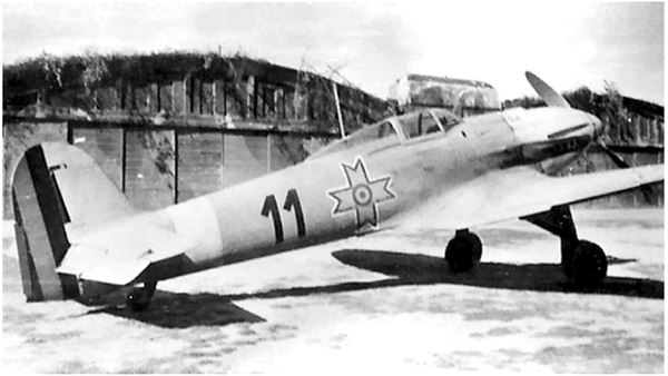 Иллюстрация к книге — Небо вторжения. Горячее лето 1941 года [i_165.jpg]