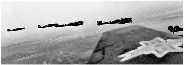 Иллюстрация к книге — Небо вторжения. Горячее лето 1941 года [i_176.jpg]