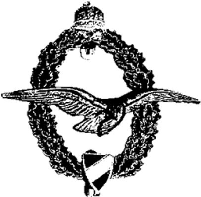 Иллюстрация к книге — Небо вторжения. Горячее лето 1941 года [i_196.jpg]