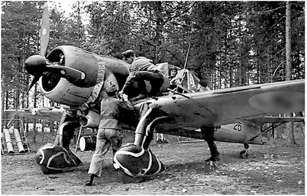 Иллюстрация к книге — Небо вторжения. Горячее лето 1941 года [i_209.jpg]