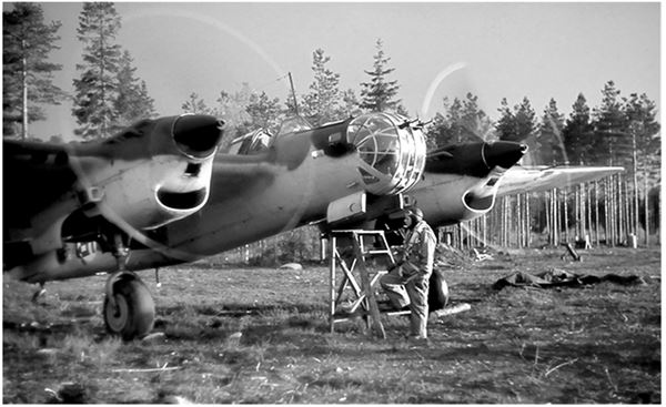 Иллюстрация к книге — Небо вторжения. Горячее лето 1941 года [i_215.jpg]