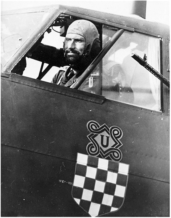 Иллюстрация к книге — Небо вторжения. Горячее лето 1941 года [i_235.jpg]