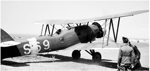 Иллюстрация к книге — Небо вторжения. Горячее лето 1941 года [i_236.jpg]