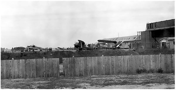 Иллюстрация к книге — Небо вторжения. Горячее лето 1941 года [i_266.jpg]