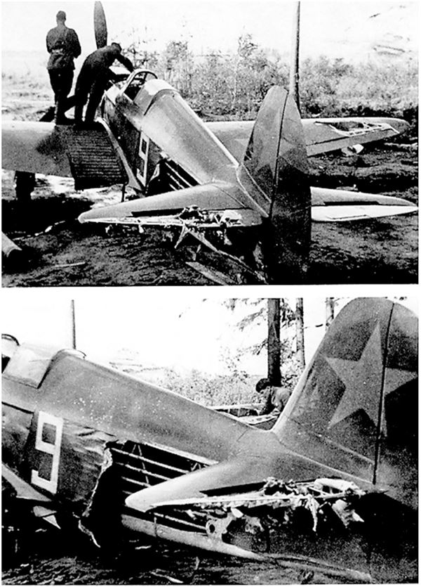 Иллюстрация к книге — Небо вторжения. Горячее лето 1941 года [i_267.jpg]