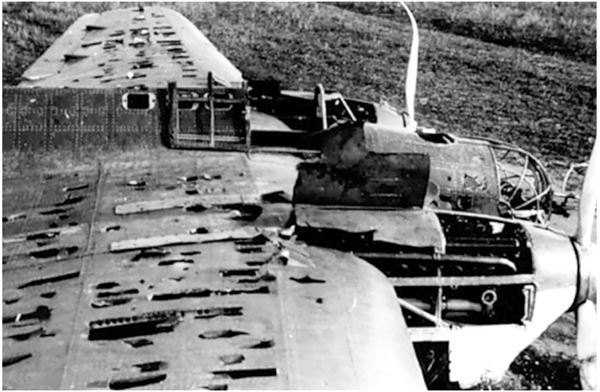 Иллюстрация к книге — Небо вторжения. Горячее лето 1941 года [i_294.jpg]