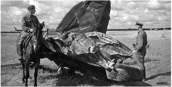 Иллюстрация к книге — Небо вторжения. Горячее лето 1941 года [i_306.jpg]