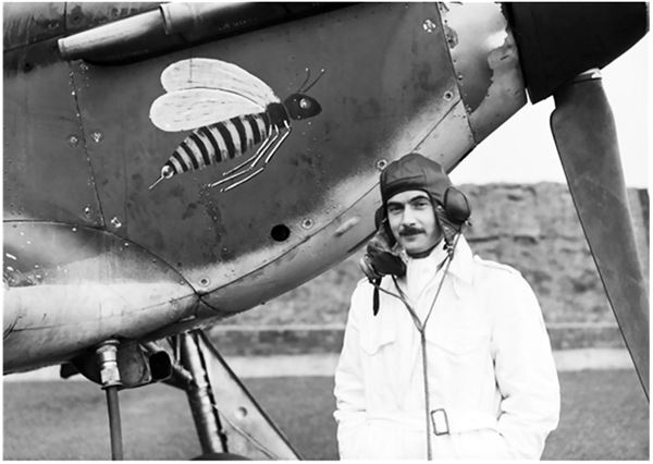 Иллюстрация к книге — Небо вторжения. Горячее лето 1941 года [i_320.jpg]