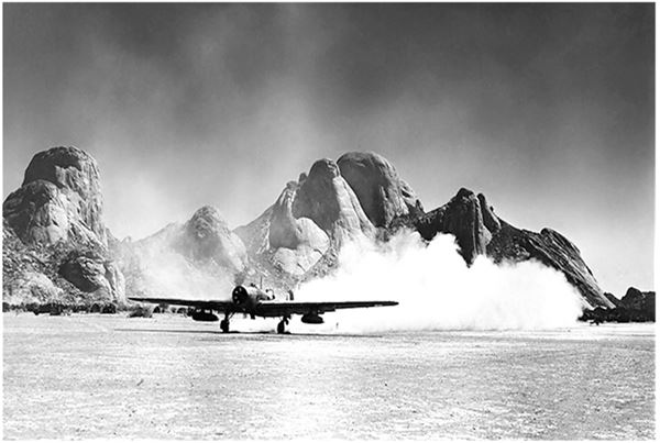 Иллюстрация к книге — Небо вторжения. Горячее лето 1941 года [i_339.jpg]