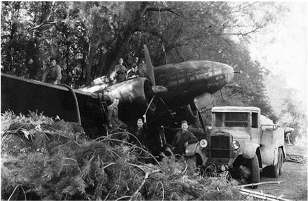 Иллюстрация к книге — Небо вторжения. Горячее лето 1941 года [i_353.jpg]