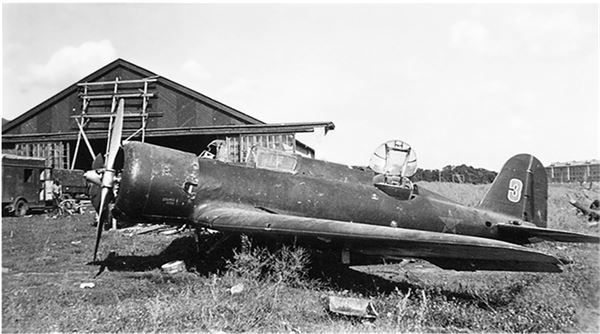 Иллюстрация к книге — Небо вторжения. Горячее лето 1941 года [i_359.jpg]