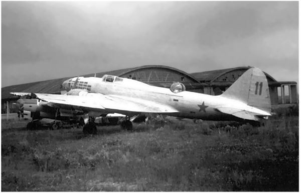 Иллюстрация к книге — Небо вторжения. Горячее лето 1941 года [i_361.jpg]