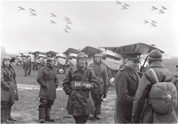 Иллюстрация к книге — Небо вторжения. Горячее лето 1941 года [i_416.jpg]