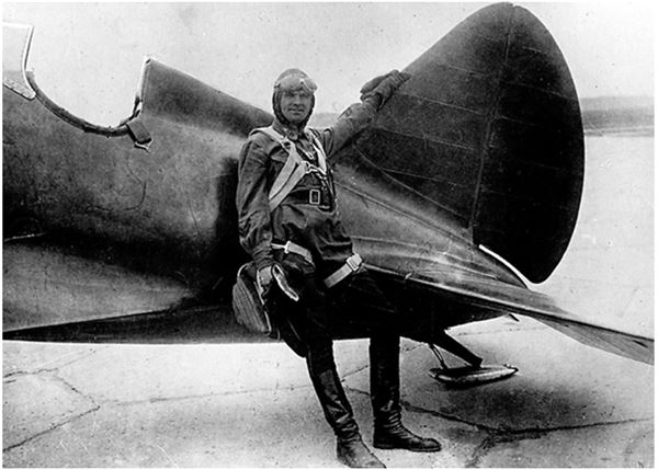 Иллюстрация к книге — Небо вторжения. Горячее лето 1941 года [i_438.jpg]