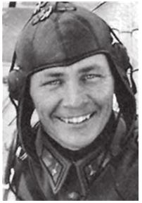 Иллюстрация к книге — Небо вторжения. Горячее лето 1941 года [i_454.jpg]