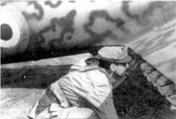 Иллюстрация к книге — Небо вторжения. Горячее лето 1941 года [i_463.jpg]