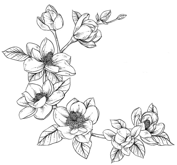 Иллюстрация к книге — Цветок империи [i_001.jpg]