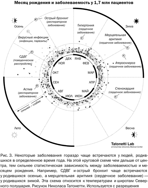 Иллюстрация к книге — Почему люди разные. Научный взгляд на человеческую индивидуальность [i_006.jpg]