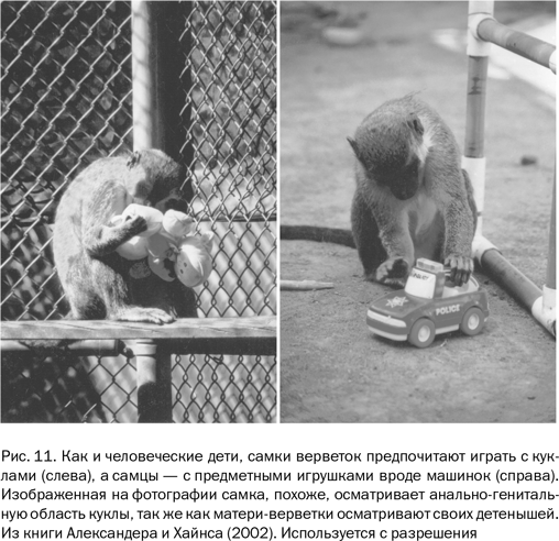 Иллюстрация к книге — Почему люди разные. Научный взгляд на человеческую индивидуальность [i_014.jpg]