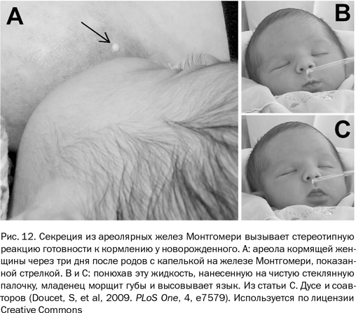 Иллюстрация к книге — Почему люди разные. Научный взгляд на человеческую индивидуальность [i_015.jpg]