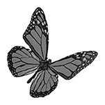 Иллюстрация к книге — Пятьдесят три письма моему любимому [i_001.jpg]