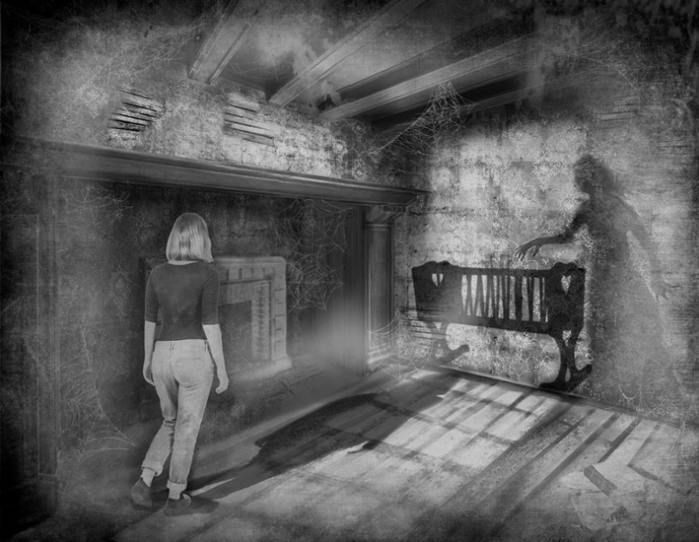 Иллюстрация к книге — Загадка старого особняка [i_005.jpg]