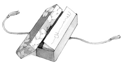 Иллюстрация к книге — Ворон хозяина не выбирает [i_006.jpg]