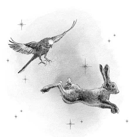 Иллюстрация к книге — Как я стал псом по кличке Сумрак [i_005.jpg]